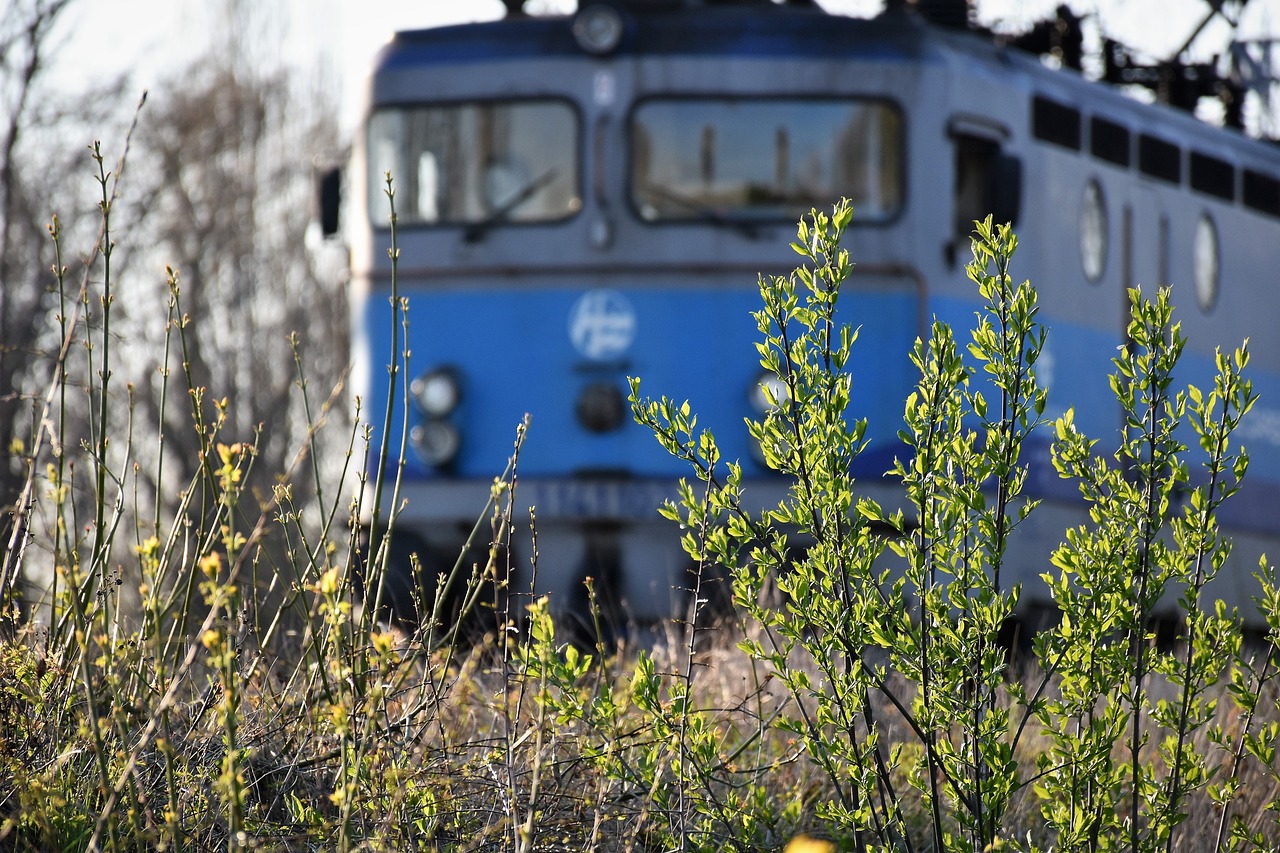 The Role of Mass Transit in Reducing Environmental Impact